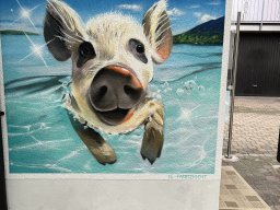 Wasserschwein